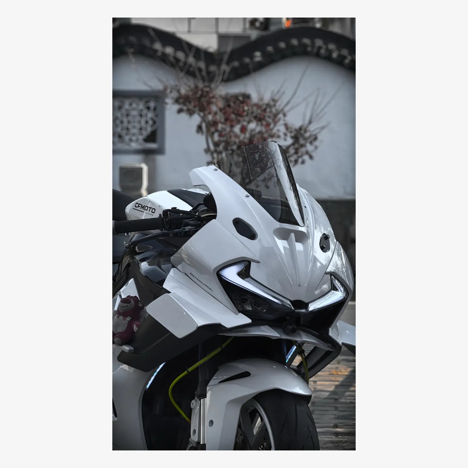 CF 675SR Racing Winglet, photo 12 of 14