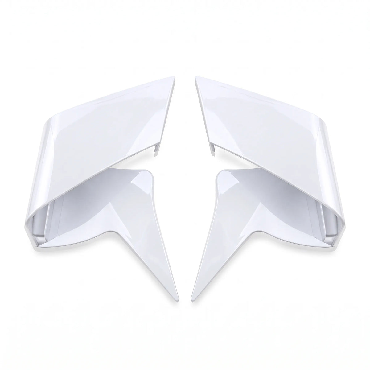 ZXMOTO 820RR Racing Winglet